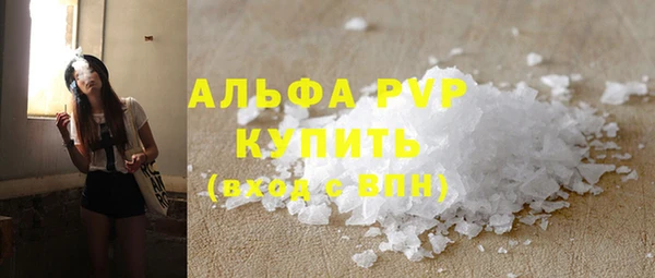 МДПВ Каменногорск