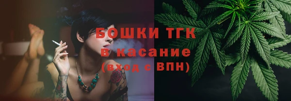 МДПВ Каменногорск