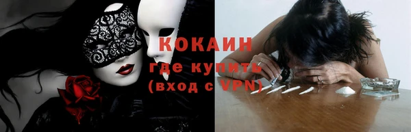 МДПВ Каменногорск