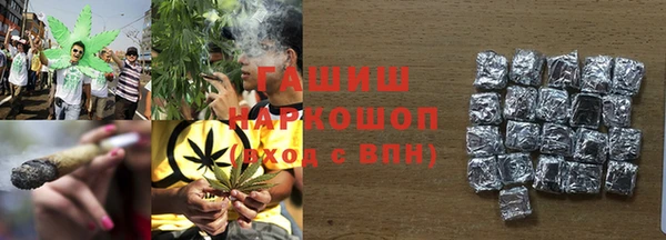 МДПВ Каменногорск