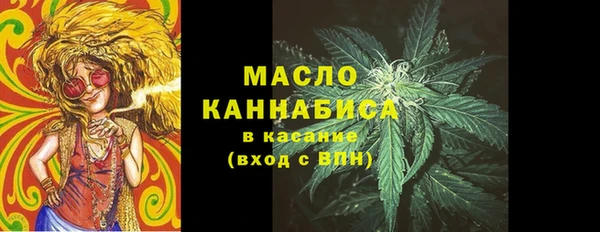 МДПВ Каменногорск