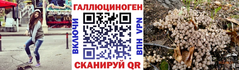 Купить  Вятские Поляны  Псилоцибиновые грибы GOLDEN TEACHER 